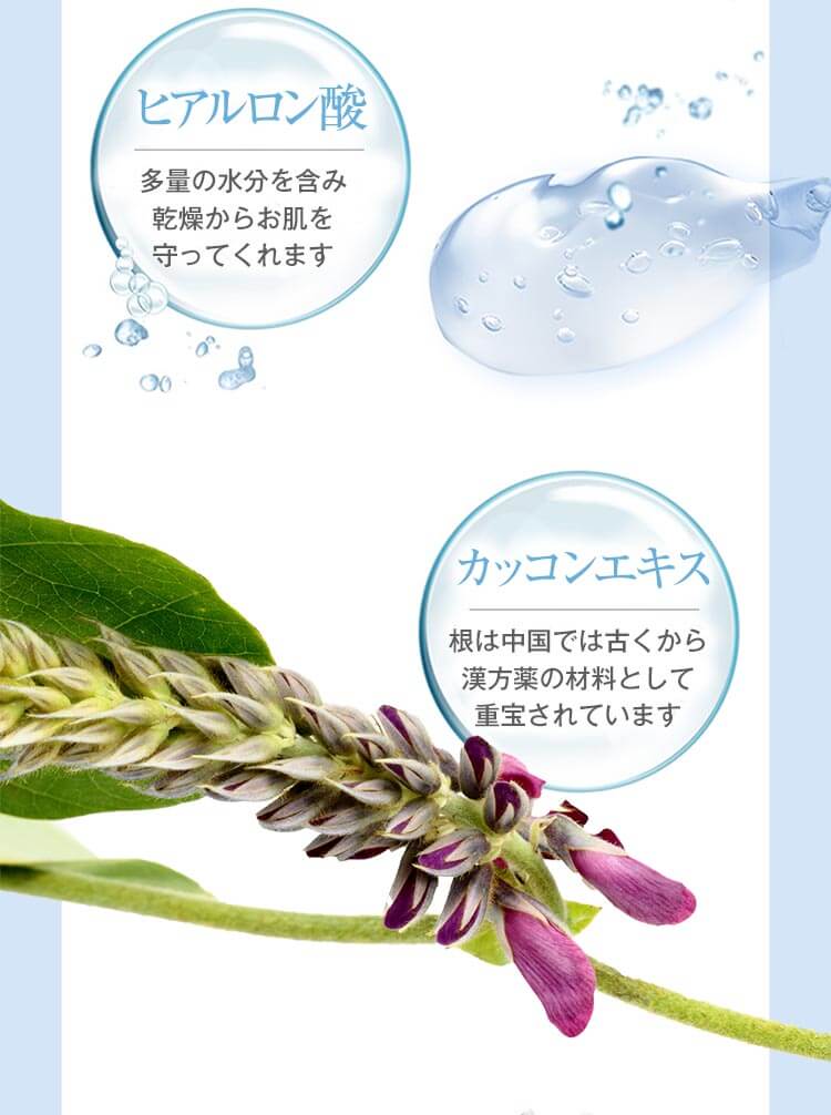Point5の成分